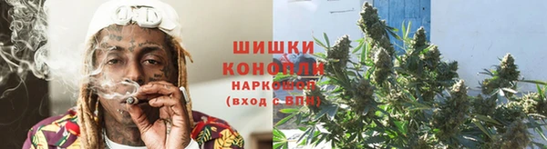 стаф Богородицк